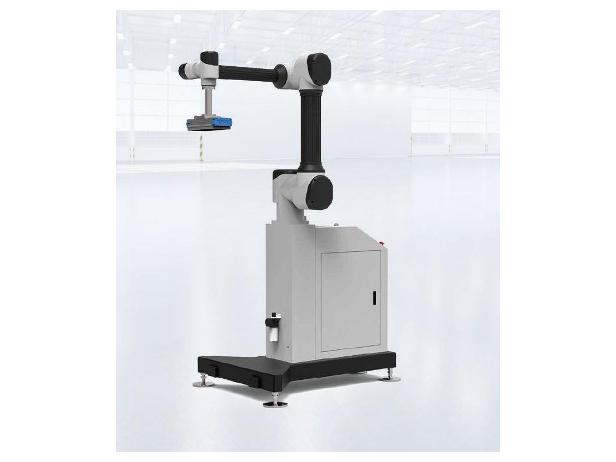 WB-20P Collaborative Case Packing Robot Workstation